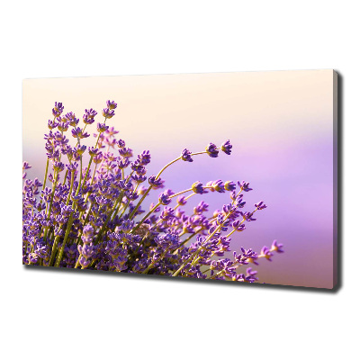 Wandbild Lavendel