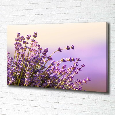 Wandbild Lavendel