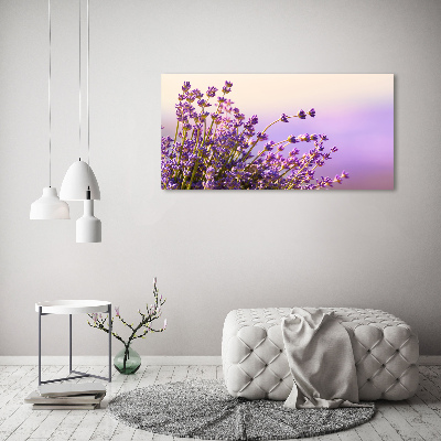 Wandbild Lavendel