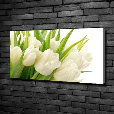 Wandbild Weiße Tulpen