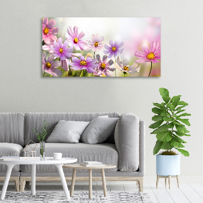 Fotobild Blumen auf der Wiese