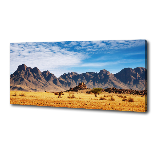 Wandbild Felsen in Namibia