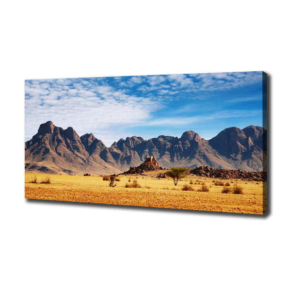 Wandbild Felsen in Namibia