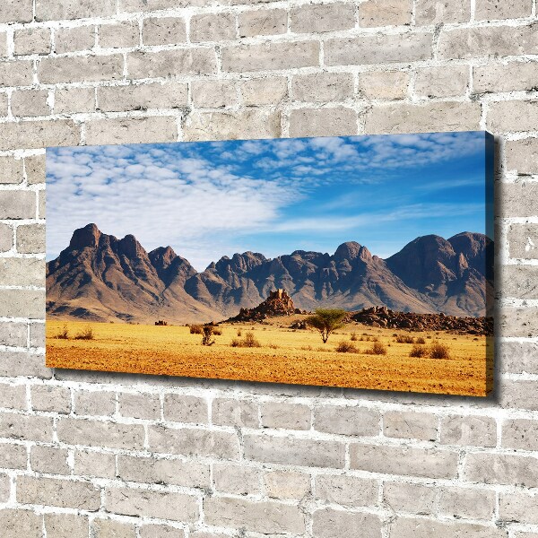 Wandbild Felsen in Namibia