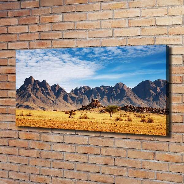 Wandbild Felsen in Namibia