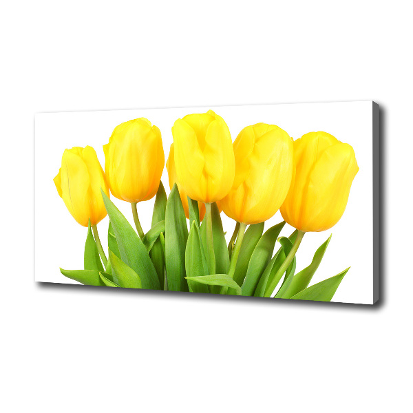 Bild auf leinwand Gelbe Tulpen