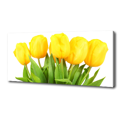 Bild auf leinwand Gelbe Tulpen