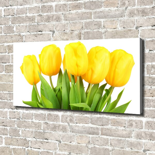 Bild auf leinwand Gelbe Tulpen