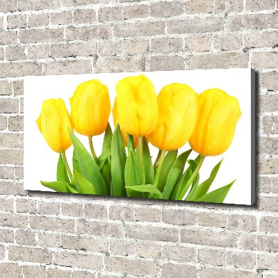 Bild auf leinwand Gelbe Tulpen