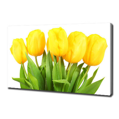 Bild auf leinwand Gelbe Tulpen