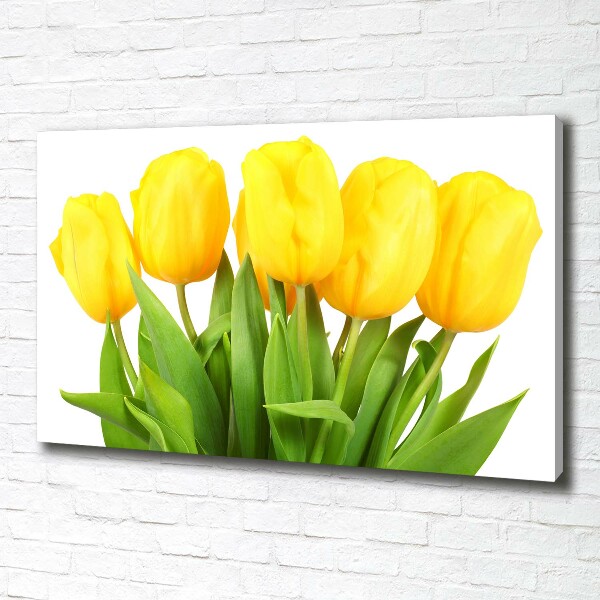 Bild auf leinwand Gelbe Tulpen
