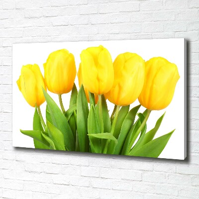 Bild auf leinwand Gelbe Tulpen