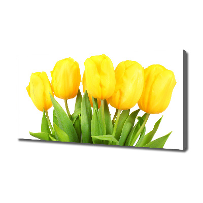 Bild auf leinwand Gelbe Tulpen