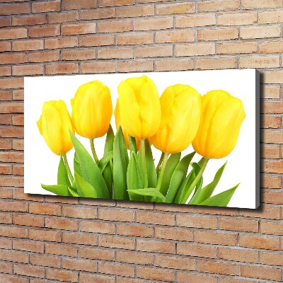 Bild auf leinwand Gelbe Tulpen