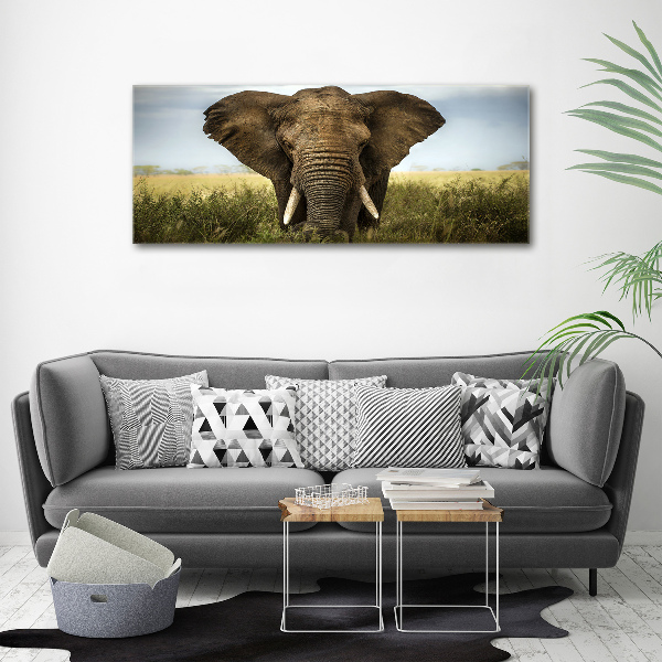 Wandbild Elefant in der Savanne