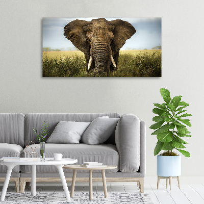 Wandbild Elefant in der Savanne