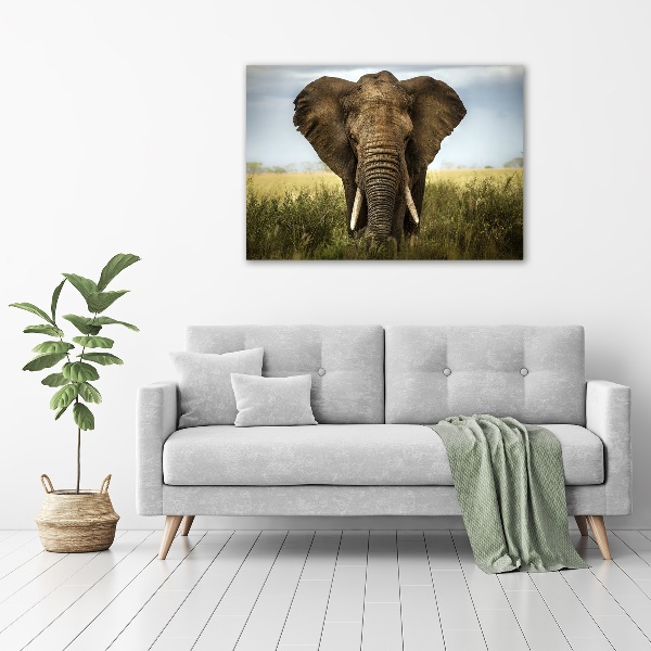 Wandbild Elefant in der Savanne