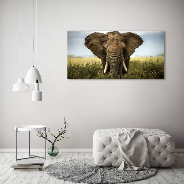 Wandbild Elefant in der Savanne
