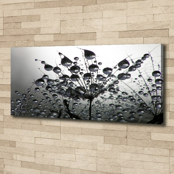 Wandbild Löwenzahnsamen