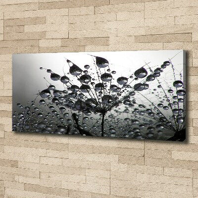 Wandbild Löwenzahnsamen