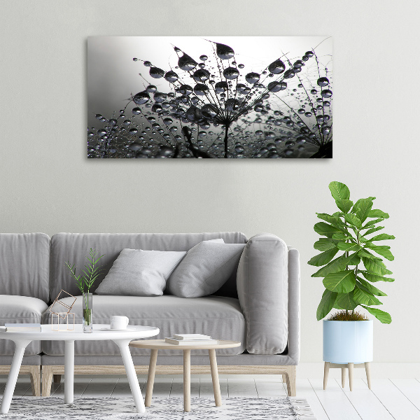 Wandbild Löwenzahnsamen