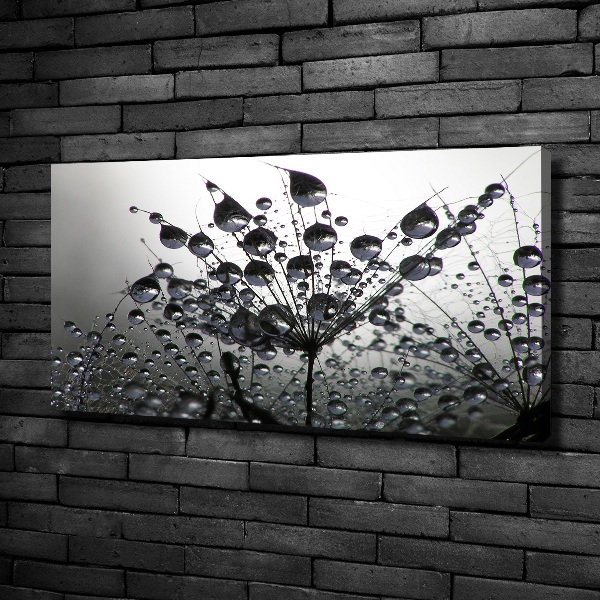 Wandbild Löwenzahnsamen