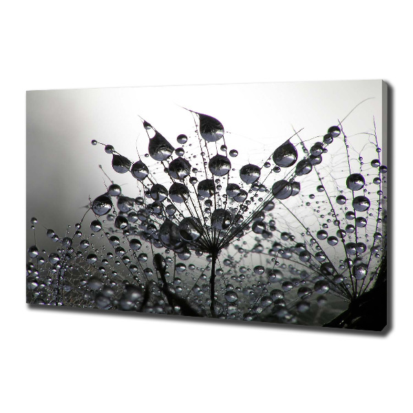 Wandbild Löwenzahnsamen