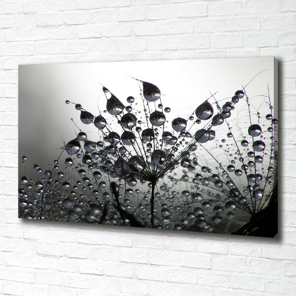 Wandbild Löwenzahnsamen