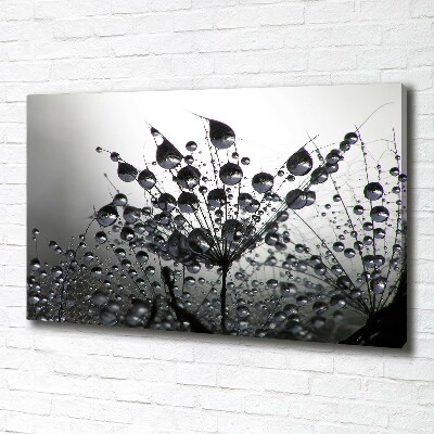 Wandbild Löwenzahnsamen