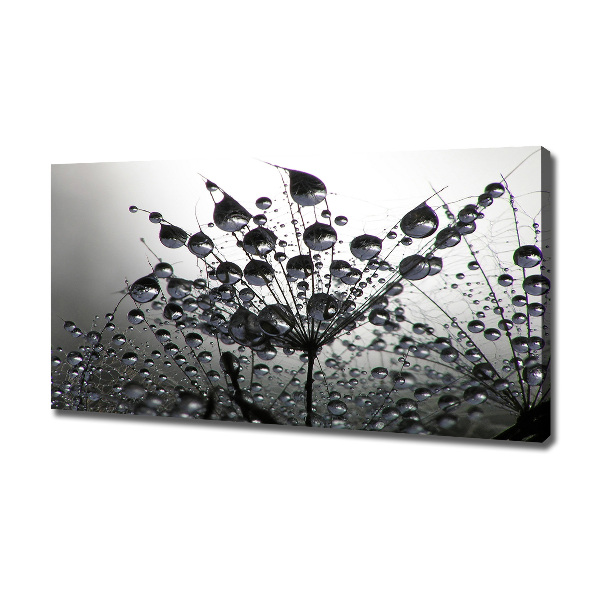 Wandbild Löwenzahnsamen