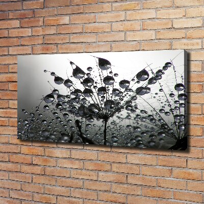 Wandbild Löwenzahnsamen