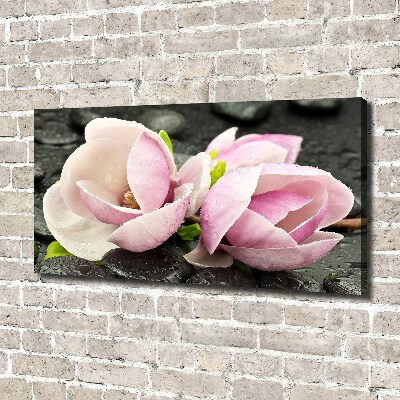 Fotobild Magnolien-Zen-Stein