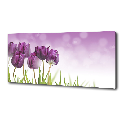 Wandbild Lila Tulpen