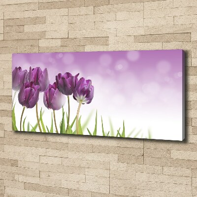 Wandbild Lila Tulpen
