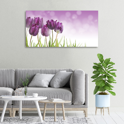 Wandbild Lila Tulpen