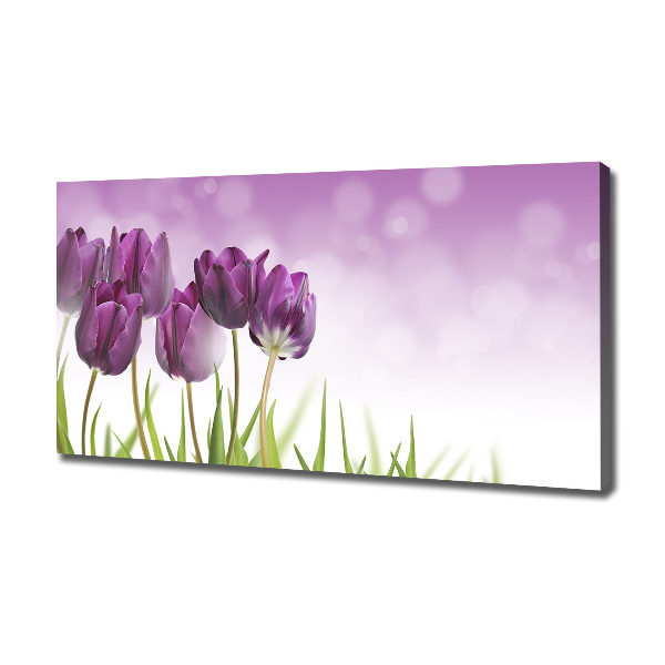 Wandbild Lila Tulpen