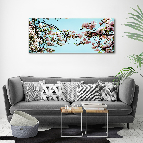 Fotobild Magnolienblüten