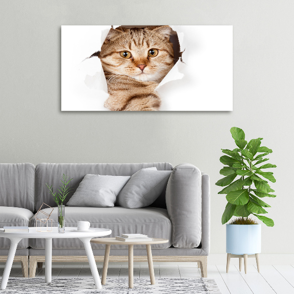 Wandbild Katze