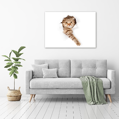 Wandbild Katze