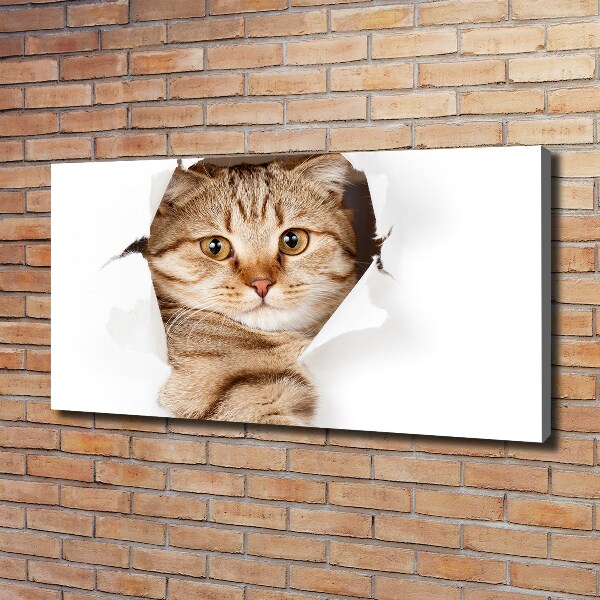 Wandbild Katze