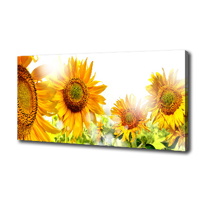 Bild auf leinwand Sonnenblumen