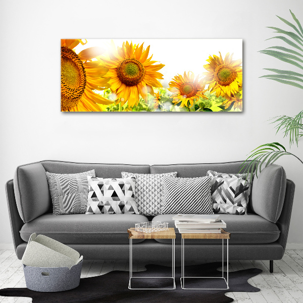 Bild auf leinwand Sonnenblumen