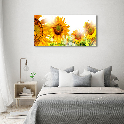 Bild auf leinwand Sonnenblumen