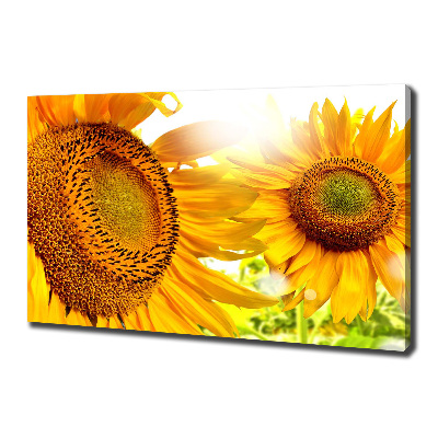 Bild auf leinwand Sonnenblumen