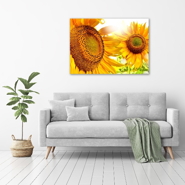 Bild auf leinwand Sonnenblumen