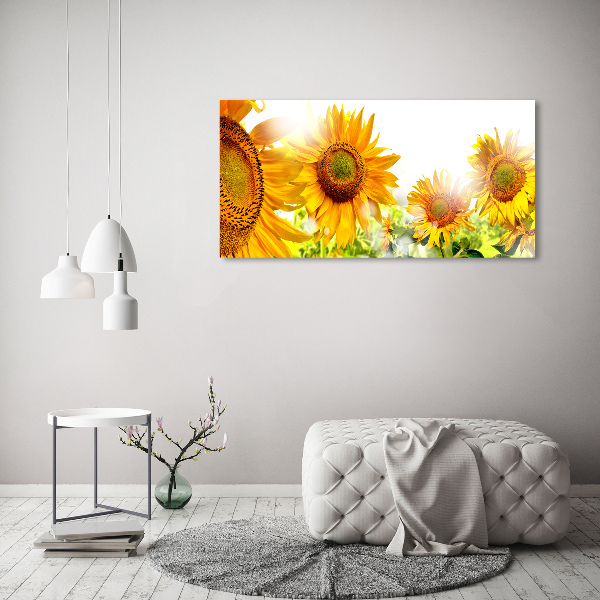 Bild auf leinwand Sonnenblumen