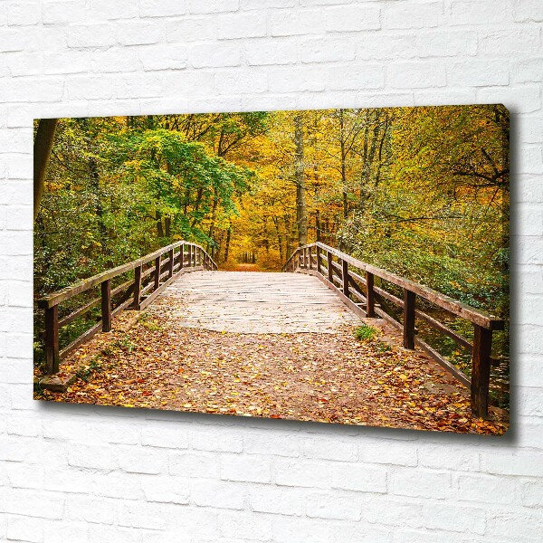 Bild auf leinwand Brücke im Herbstwald