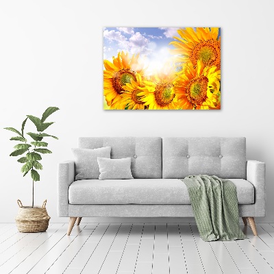 Fotobild Sonnenblumen