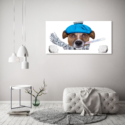 Bild auf leinwand Kranker Hund