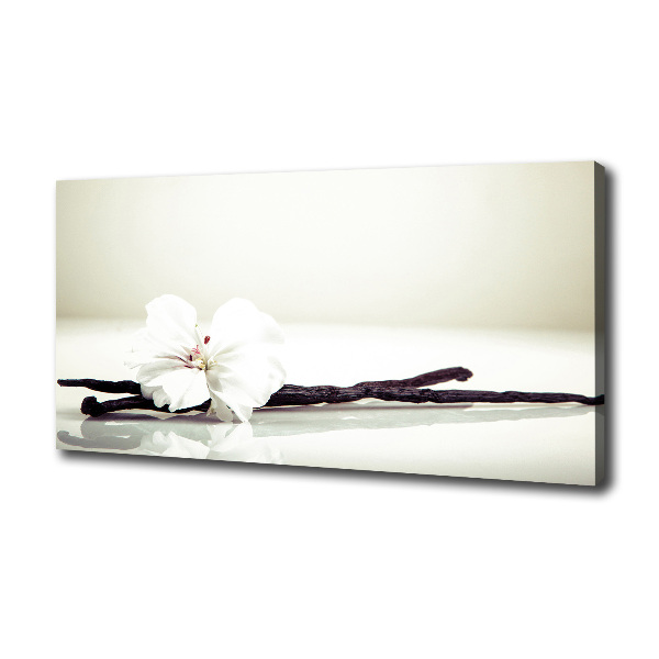 Wandbild Vanilleschote